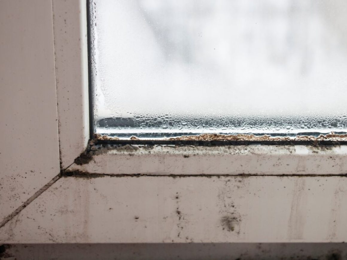 dunrite-decon-mould-decontamination