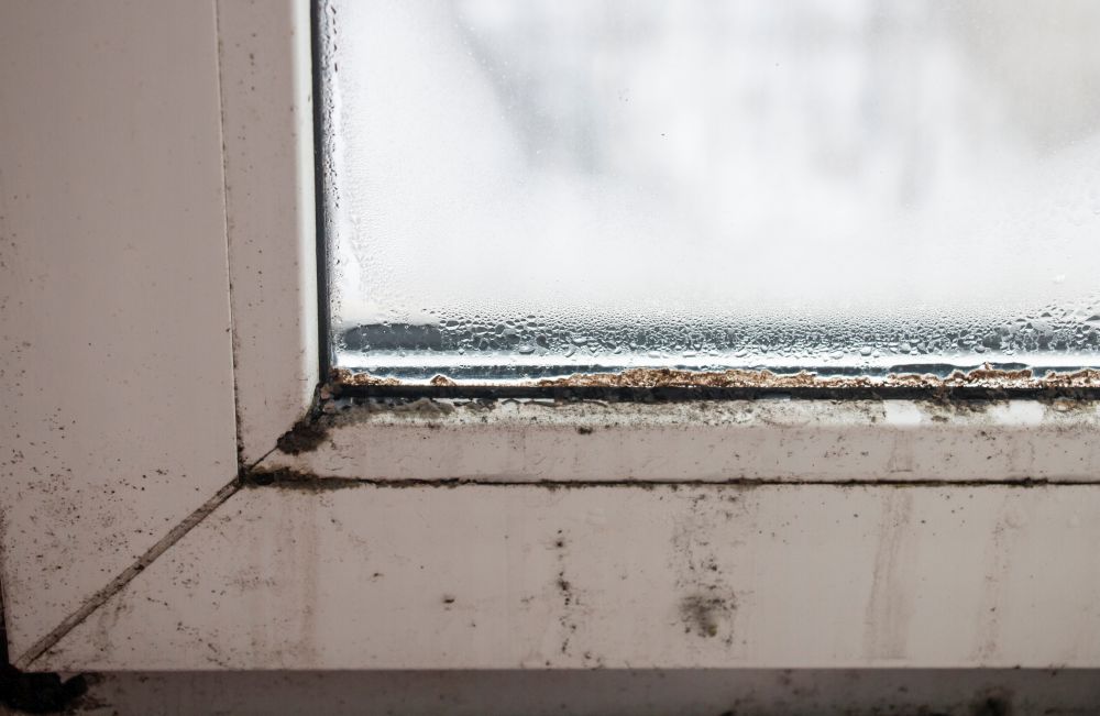 dunrite-decon-mould-decontamination