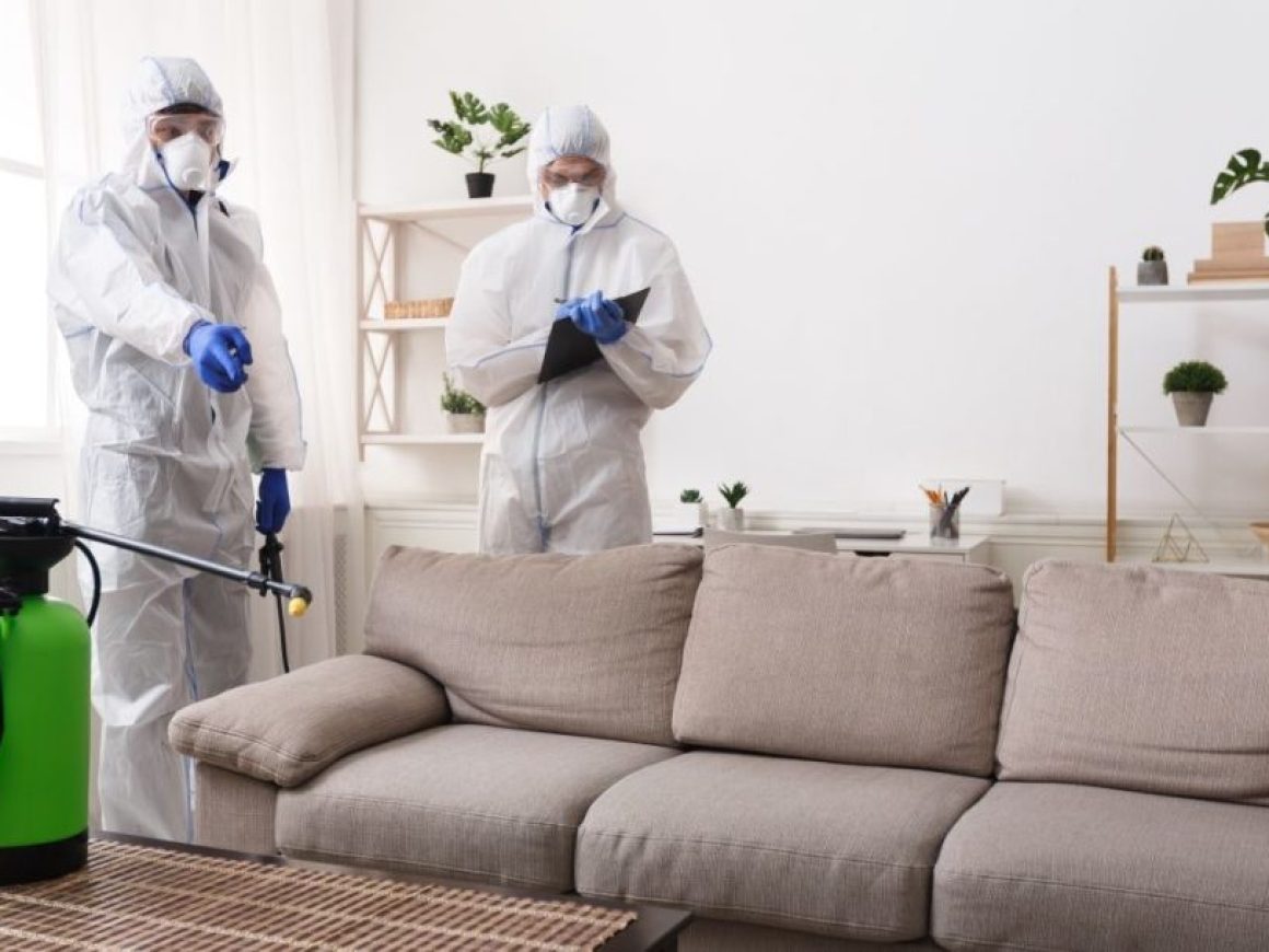 dunrite-decon-meth-and-mould-control-in-seq